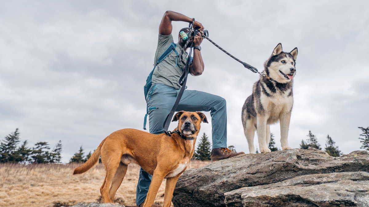 Meet Rex and Leia—rescues born for the great outdoors